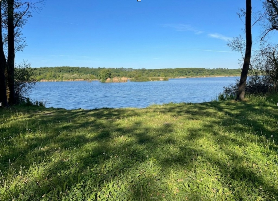 Výhled na jezero ze břehu